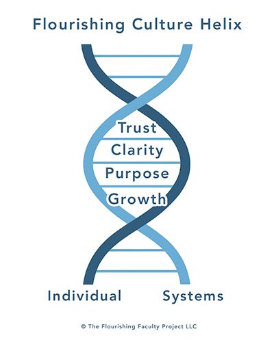 DNA helix with trust, clarity, purpose, growth.